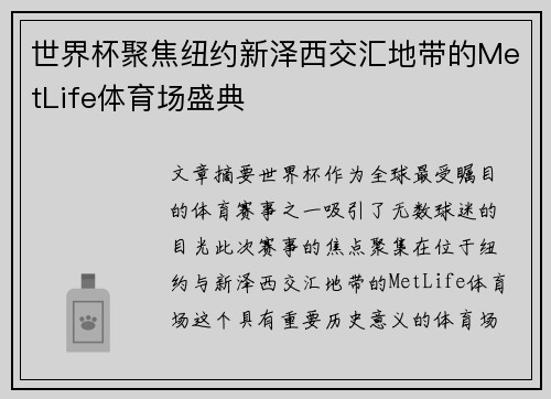 世界杯聚焦纽约新泽西交汇地带的MetLife体育场盛典 世界杯聚焦纽约新泽西交汇地带的MetLife体育场盛典